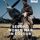 Imagen: IWM.